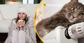 Тепло в доме