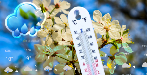 Столбики термометров могут опуститься до -3