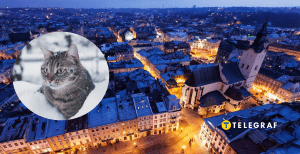 Зима в Украине