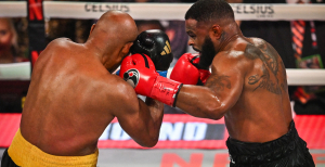 Андерсон Силва - Тайрон Вудли