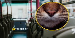 Пассажиров маршрутки во Львове позабавил "кондуктор"