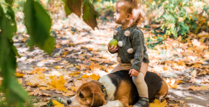 Ребенок играет с собакой