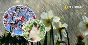 Кінець квітня не буде теплим