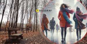 Ветреная погода