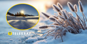 Как погода повлияет на культуры