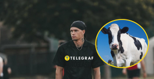 Михайло Мудрик