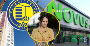 Влада Молчанова пов'язана з багатьома компаніями в Україні