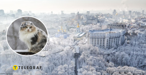 Зима в Києві