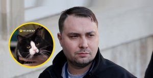 Кот Гюнтер - один из домашних любимцев Кирилла Буданова