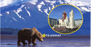 Де розташований мікрорайон Тернополя "Аляска"