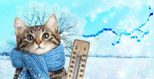 Погода в Україні на початку січня