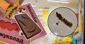 "Жуколад" активно скупают
