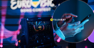 Голосование в "Дии"