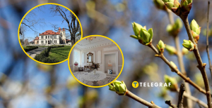 Подгорецкий дворец, весна