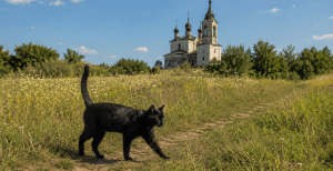 Церковный праздник