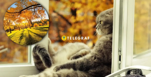 Прогноз на ноябрь 2025 радует