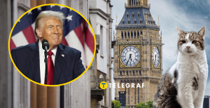 Дональд Трамп, кіт Ларрі