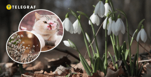 Погода в березні