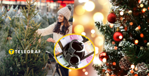 Новогодние елки