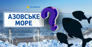 Азовское море