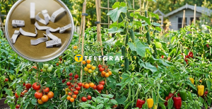 Садовый лайфхак
