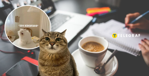 Меми про понеділок