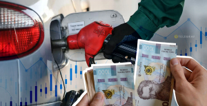 АЗС искусственно держат высокие цены