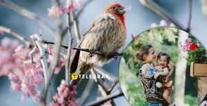 В праздник особо почитают птиц