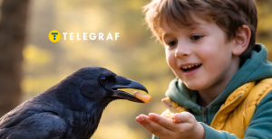 Ворона и ребенок