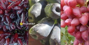 Який виноград найкрасивіший і найнезвичайніший?