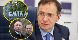 Владимир Мединский