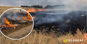 В Одессе горит поле, огонь приближается к домам