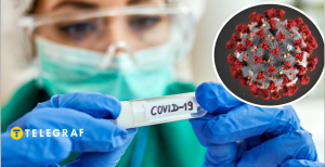 В каких областях уже есть новый штамм ковида