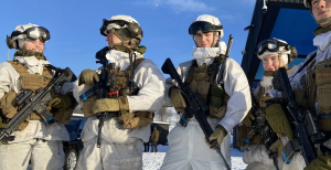 Норвежские солдаты/ Фото: Томас Нильсен