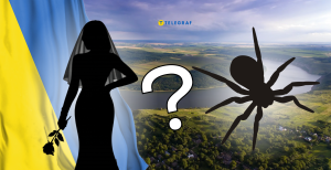 Каракурты в Україні