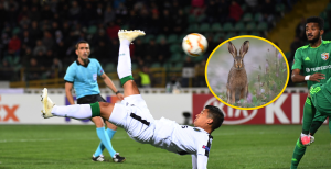 Заєць та матч "Ворскла" — "Спортінг"