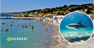 В Україні стався кумедний курйоз на морі