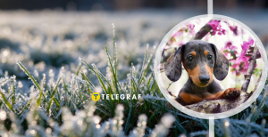 Второй месяц весны не баловал украинцев