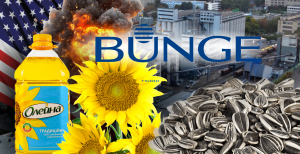 Завод "Олейна" в Днепре