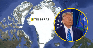 Колаж "Телеграф"