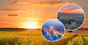 Середня температура виросла