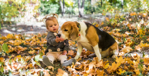 Дитина з собакою восени