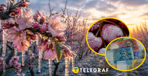 Весенние холода привели к скачку стоимости