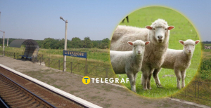 Село Баранове