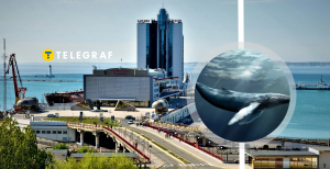 Что интересно в Одессе