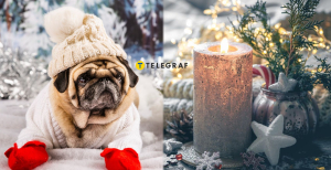 Праздник 6 февраля