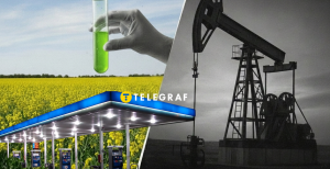 Пальне з ріпаку може частково замінити дизель