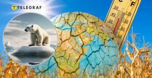 Глобальное потепление