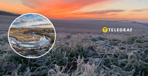 Колаж "Телеграфу"