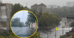 Стихія повалила дерева